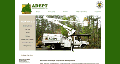Desktop Screenshot of adeptsilva.com